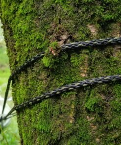 Cuerda de sujeción de hamaca colgante Bushmen Zen atada a un árbol con musgo