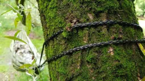 Cuerda de sujeción de hamaca colgante Bushmen Zen atada a un árbol con musgo