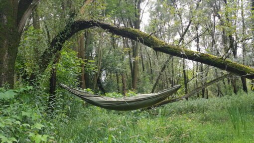 Hamaca Colgante Bushmen Zen instalada en un bosque sobre césped verde